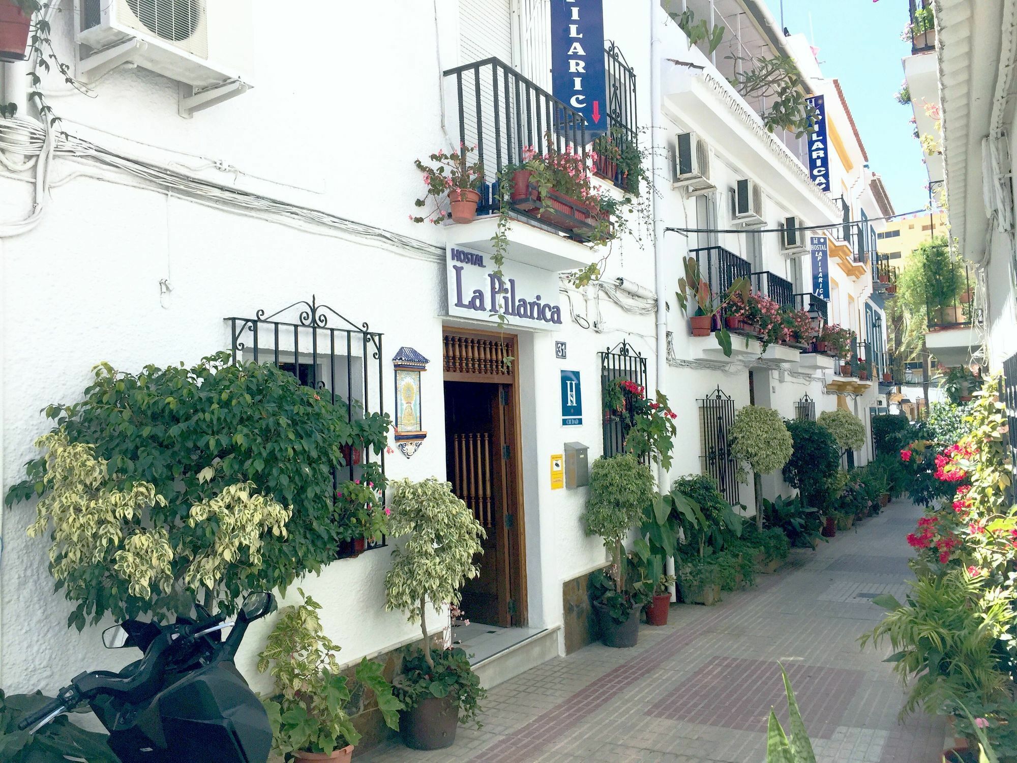 فندق ماربيافي  بيت شباب لا بيلاريكا المظهر الخارجي الصورة